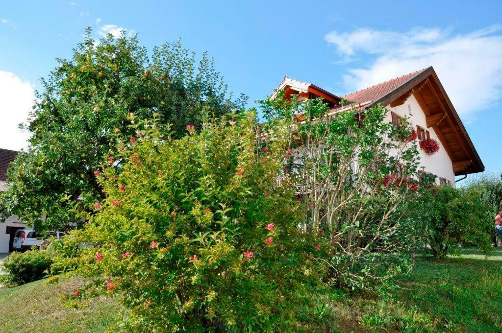 Unterbrunn Gaestehaus Walser מראה חיצוני תמונה